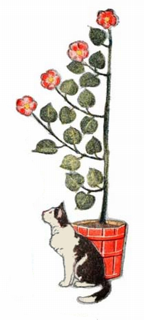 cat with potted floral plant