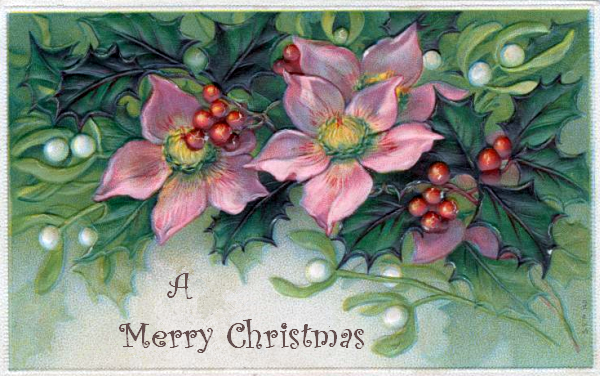 pink-christmas-flowers-2