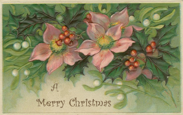 mistletoe and holly with pink flowers