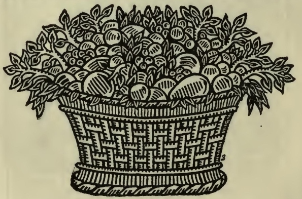 fruit basket