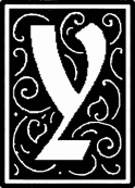 fancy letter y