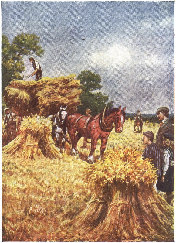 fall hay harvest drawing