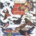 winter birds of England
