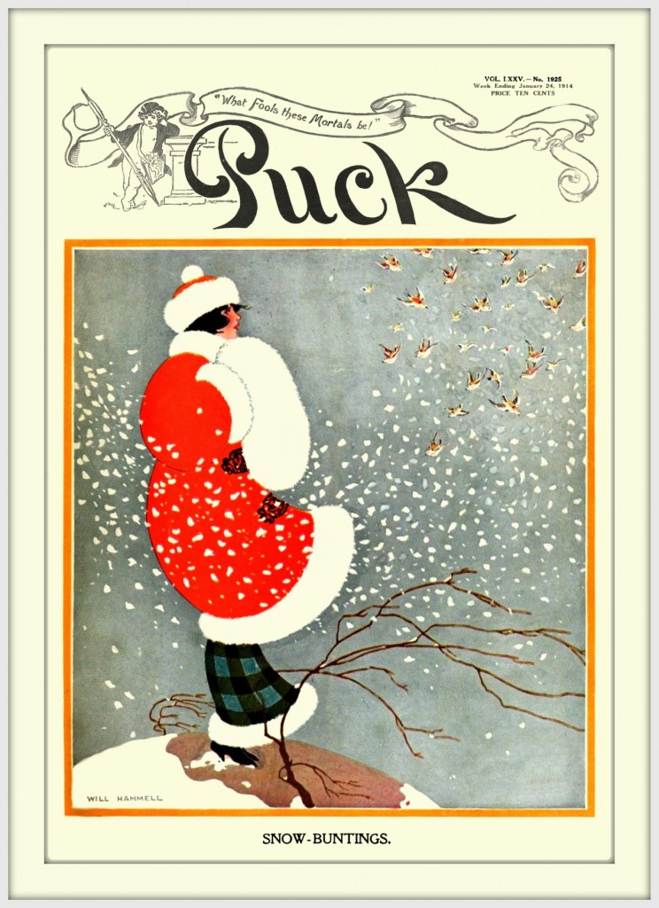 snow-buntings-1904