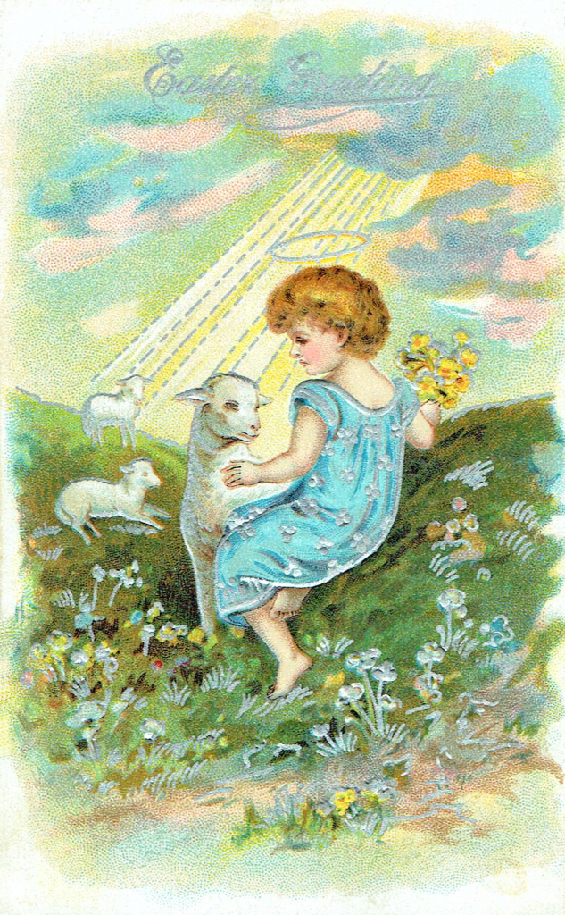 angel with lambs