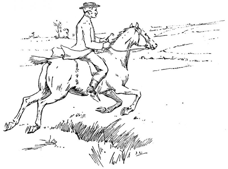 galloping horse and rider illustration