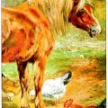 Vintage book illustration of horse with chickens and a rooster.