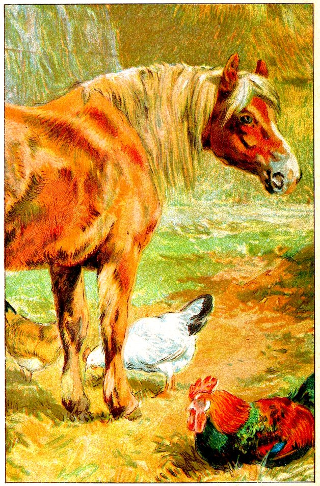 Vintage book illustration of horse with chickens and a rooster.