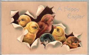 Easter Chicks Vintage Post Card