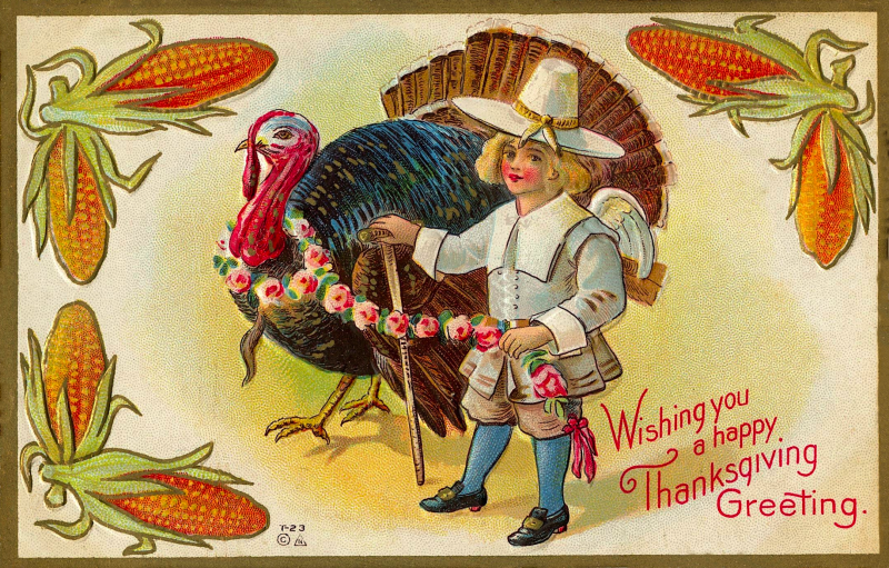 A little Pilgrim and his pet turkey, Thanksgiving wishes.